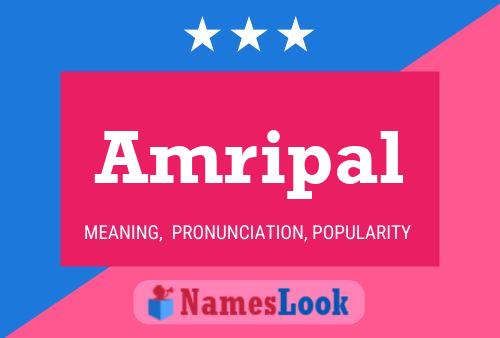 Amripal Name Poster