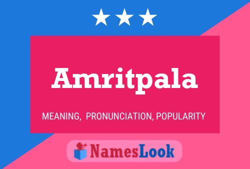 Amritpala Name Poster