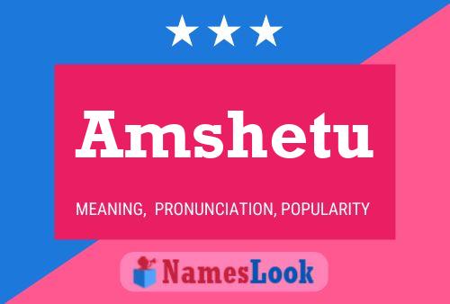 Amshetu Name Poster