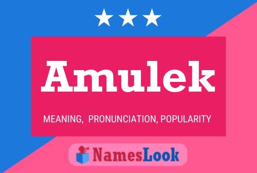 Amulek Name Poster