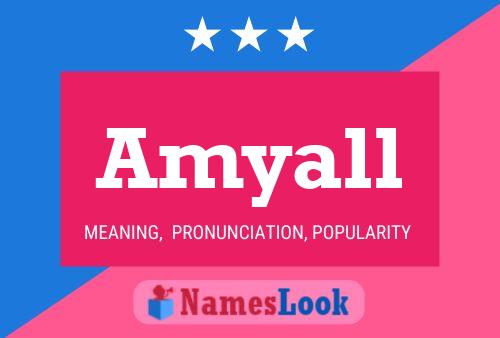 Amyall Name Poster