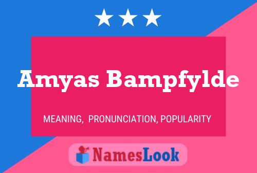 Amyas Bampfylde Name Poster