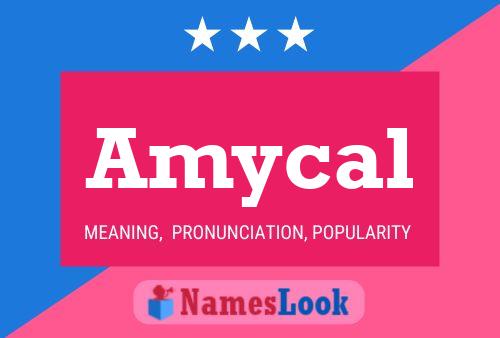 Amycal Name Poster