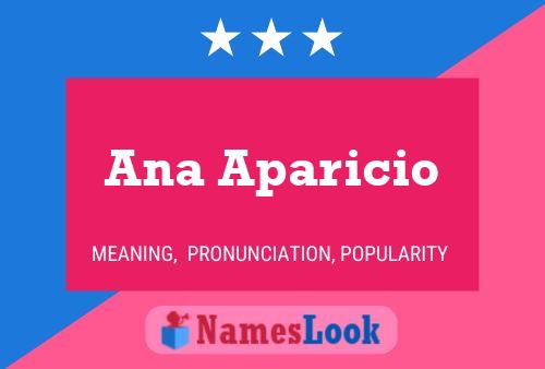 Ana Aparicio Name Poster