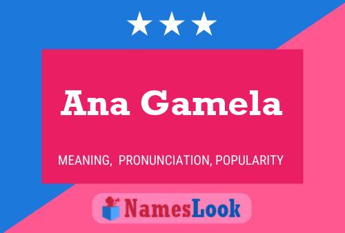 Ana Gamela Name Poster