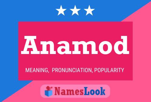 Anamod Name Poster