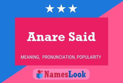 Anare Said Name Poster