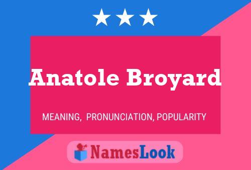 Anatole Broyard Name Poster