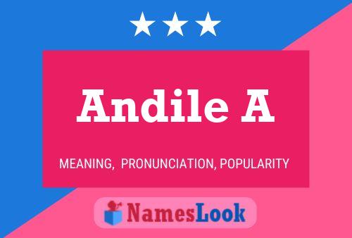 Andile A Name Poster