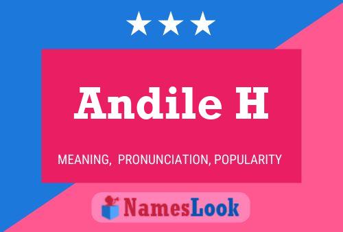 Andile H Name Poster