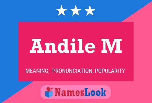 Andile M Name Poster