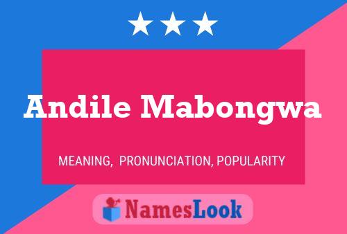 Andile Mabongwa Name Poster