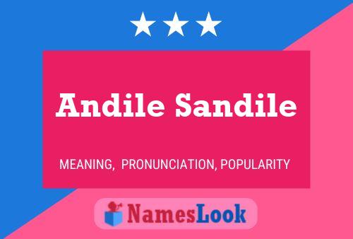 Andile Sandile Name Poster