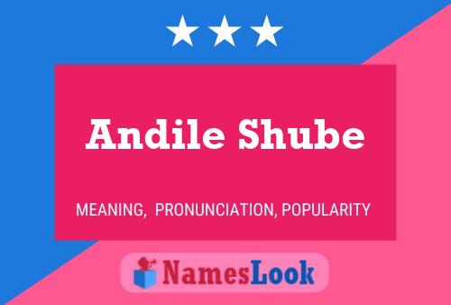 Andile Shube Name Poster