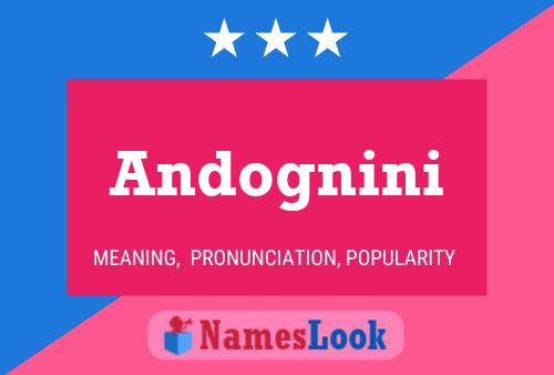 Andognini Name Poster