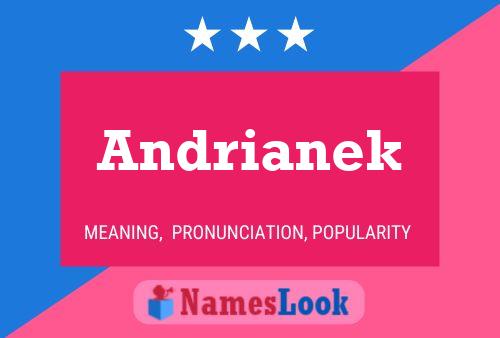 Andrianek Name Poster