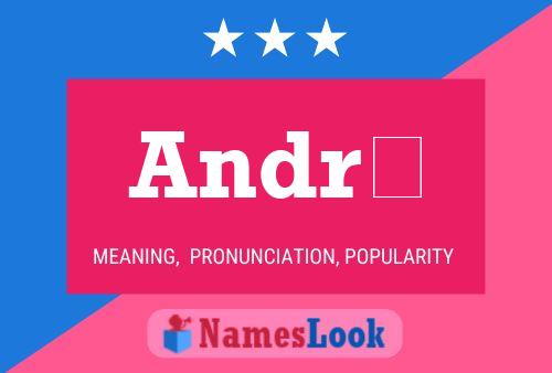 André Name Poster