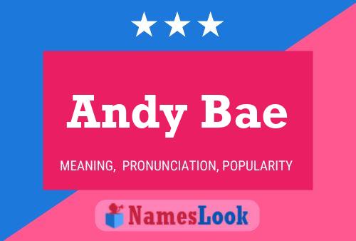 Andy Bae Name Poster