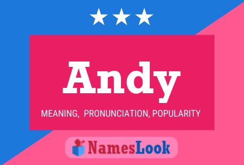 Andy Name Poster