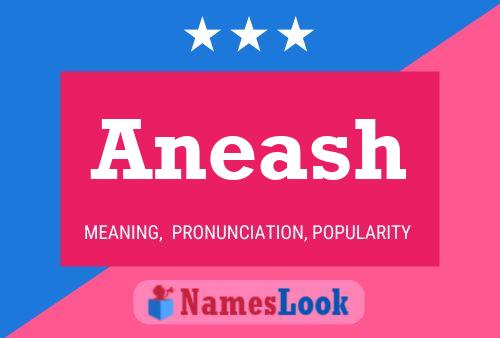 Aneash Name Poster