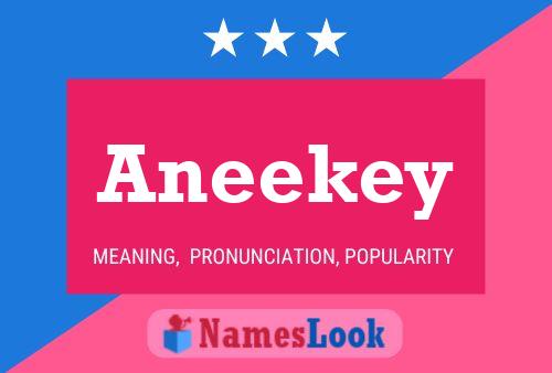 Aneekey Name Poster