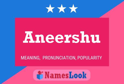 Aneershu Name Poster