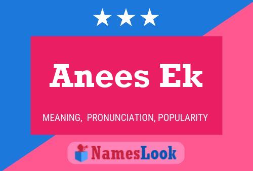 Anees Ek Name Poster