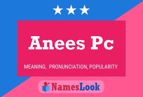 Anees Pc Name Poster