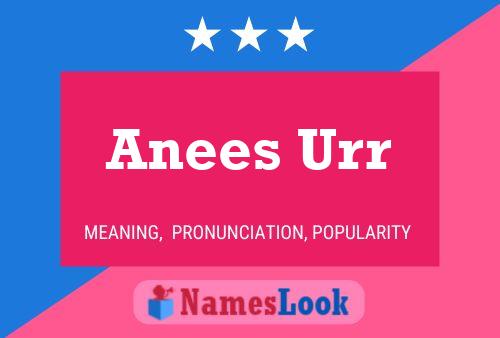 Anees Urr Name Poster