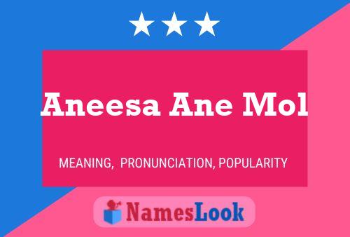 Aneesa Ane Mol Name Poster