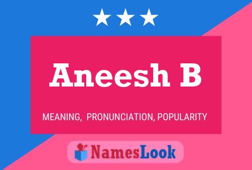 Aneesh B Name Poster