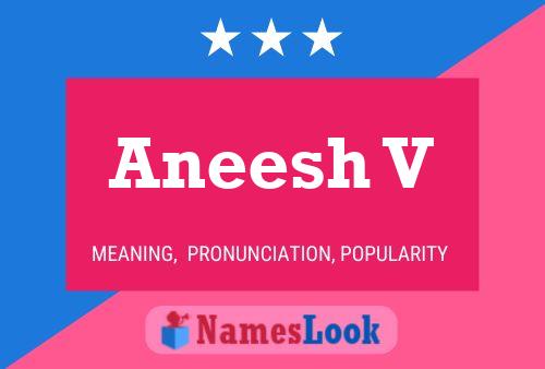 Aneesh V Name Poster