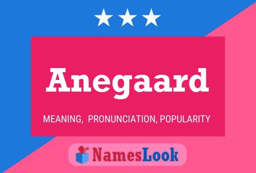 Anegaard Name Poster