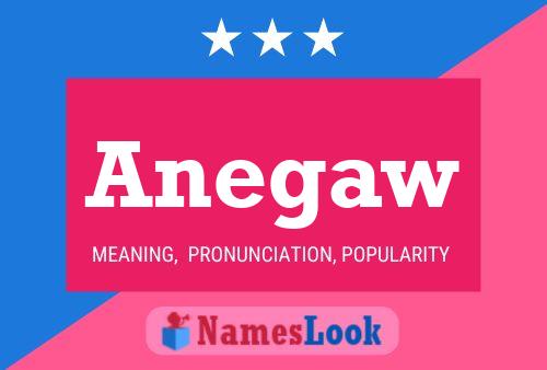 Anegaw Name Poster