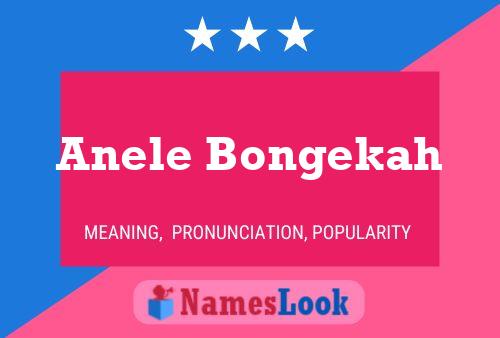 Anele Bongekah Name Poster