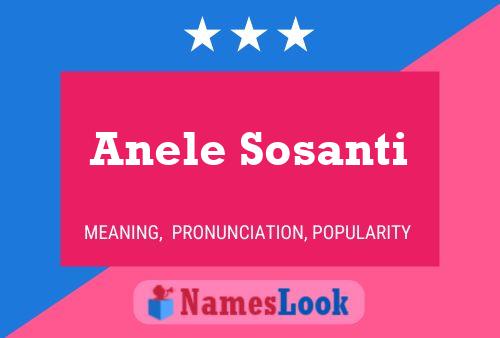 Anele Sosanti Name Poster