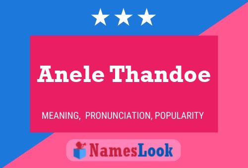 Anele Thandoe Name Poster