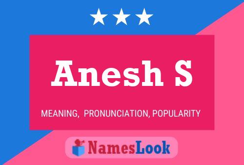 Anesh S Name Poster