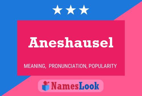 Aneshausel Name Poster