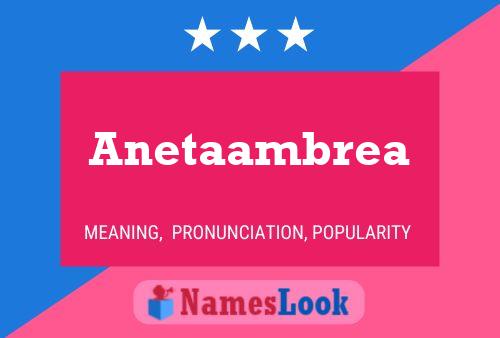 Anetaambrea Name Poster