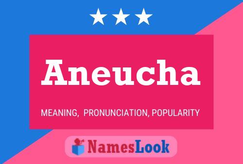 Aneucha Name Poster