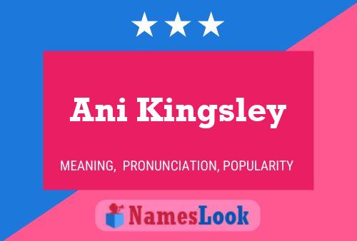 Ani Kingsley Name Poster