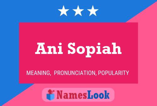 Ani Sopiah Name Poster