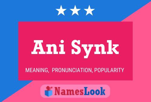 Ani Synk Name Poster