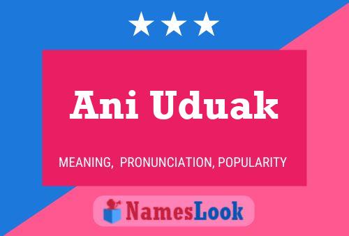 Ani Uduak Name Poster