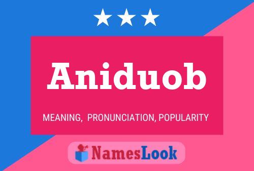 Aniduob Name Poster