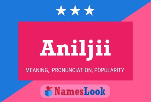 Aniljii Name Poster