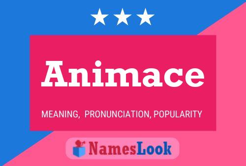 Animace Name Poster