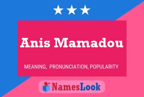 Anis Mamadou Name Poster