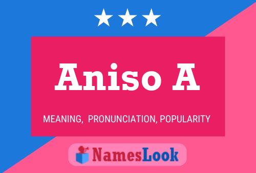 Aniso A Name Poster